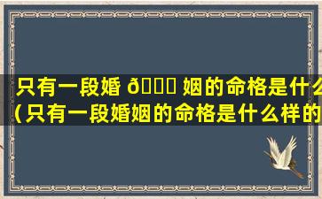 只有一段婚 🍁 姻的命格是什么（只有一段婚姻的命格是什么样的）